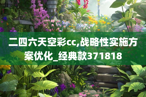 二四六天空彩cc,战略性实施方案优化_经典款371818