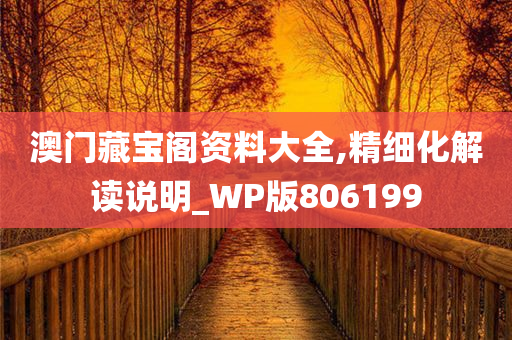 澳门藏宝阁资料大全,精细化解读说明_WP版806199