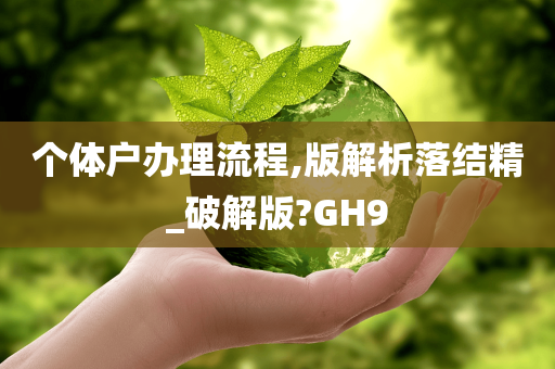 个体户办理流程,版解析落结精_破解版?GH9