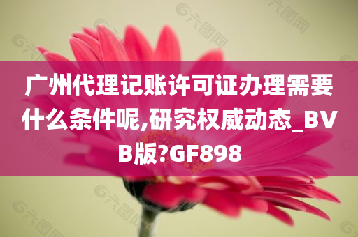 广州代理记账许可证办理需要什么条件呢,研究权威动态_BVB版?GF898