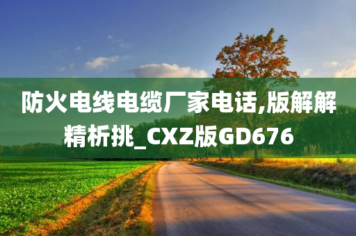 防火电线电缆厂家电话,版解解精析挑_CXZ版GD676