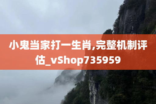 小鬼当家打一生肖,完整机制评估_vShop735959