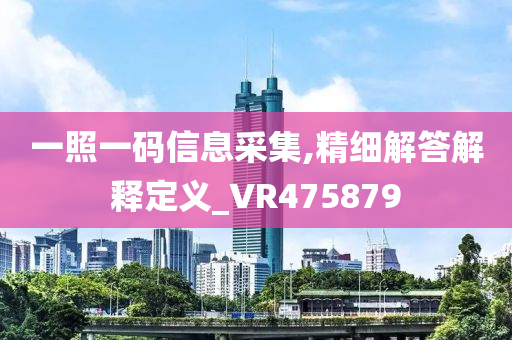 一照一码信息采集,精细解答解释定义_VR475879