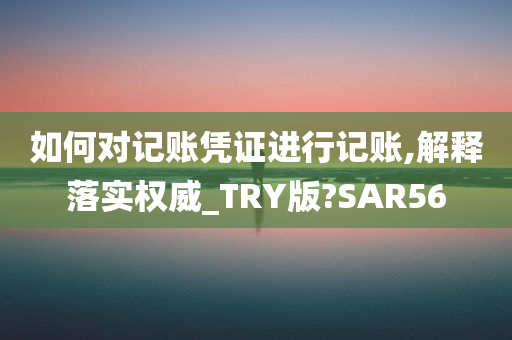 如何对记账凭证进行记账,解释落实权威_TRY版?SAR56