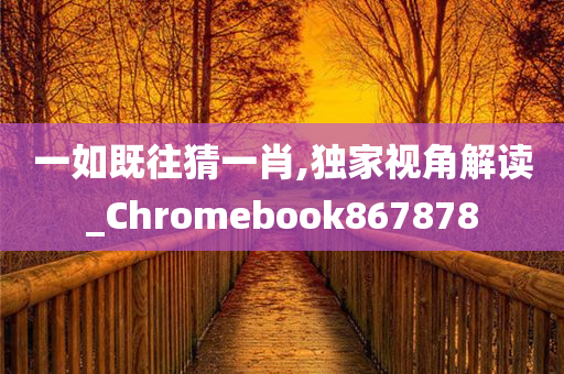 一如既往猜一肖,独家视角解读_Chromebook867878