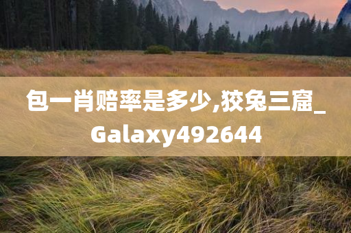 包一肖赔率是多少,狡兔三窟_Galaxy492644