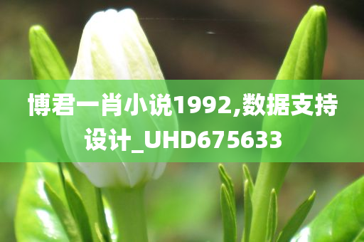 博君一肖小说1992,数据支持设计_UHD675633