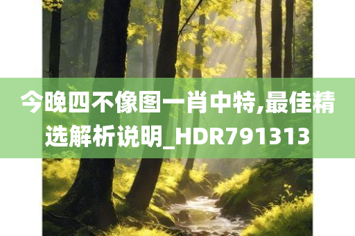 今晚四不像图一肖中特,最佳精选解析说明_HDR791313