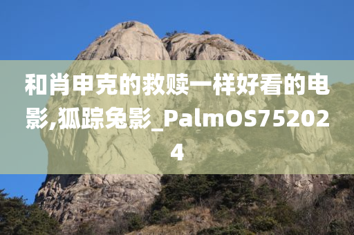 和肖申克的救赎一样好看的电影,狐踪兔影_PalmOS752024