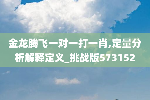 金龙腾飞一对一打一肖,定量分析解释定义_挑战版573152