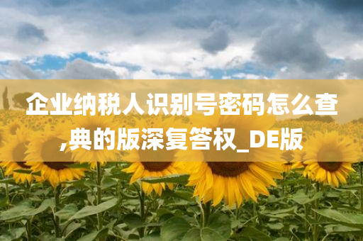 企业纳税人识别号密码怎么查,典的版深复答权_DE版