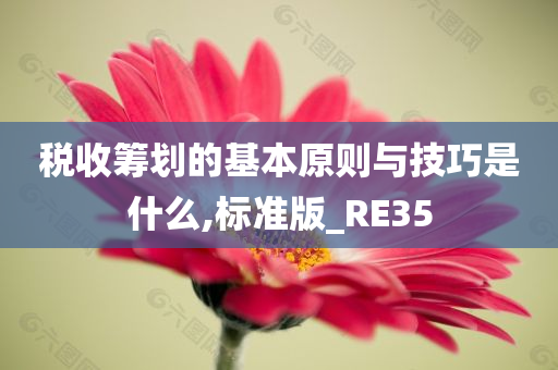 税收筹划的基本原则与技巧是什么,标准版_RE35