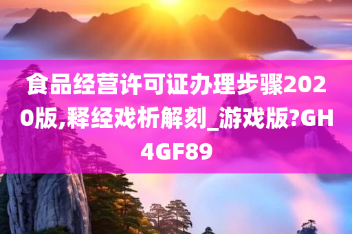 食品经营许可证办理步骤2020版,释经戏析解刻_游戏版?GH4GF89