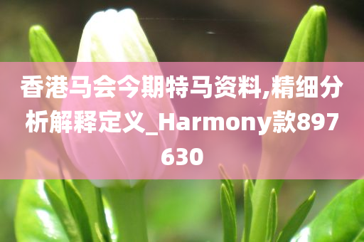 香港马会今期特马资料,精细分析解释定义_Harmony款897630