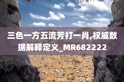 三色一方五流芳打一肖,权威数据解释定义_MR682222