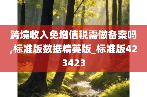 跨境收入免增值税需做备案吗,标准版数据精英版_标准版423423