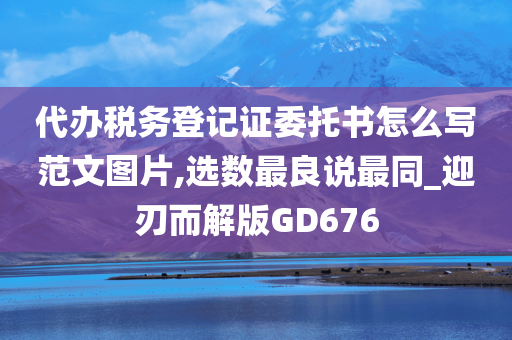 代办税务登记证委托书怎么写范文图片,选数最良说最同_迎刃而解版GD676