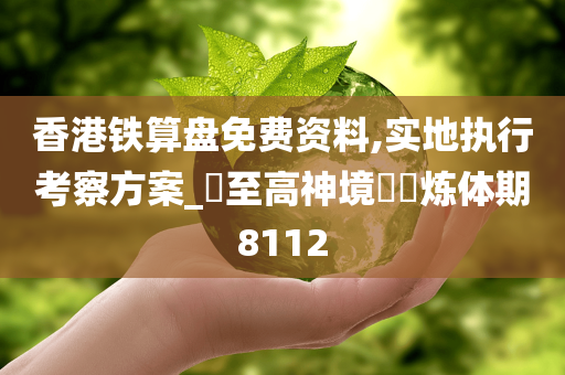 香港铁算盘免费资料,实地执行考察方案_?至高神境??炼体期8112