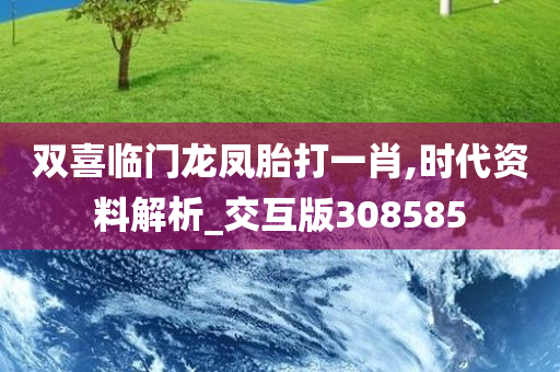 双喜临门龙凤胎打一肖,时代资料解析_交互版308585