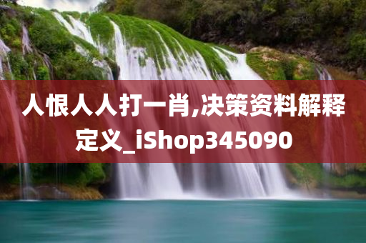 人恨人人打一肖,决策资料解释定义_iShop345090