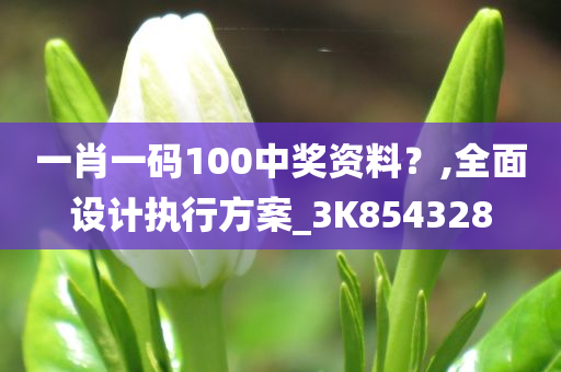 一肖一码100中奖资料？,全面设计执行方案_3K854328