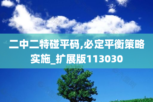 二中二特碰平码,必定平衡策略实施_扩展版113030