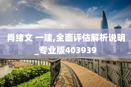 肖绪文 一建,全面评估解析说明_专业版403939