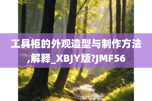 工具柜的外观造型与制作方法,解释_XBJY版?JMF56