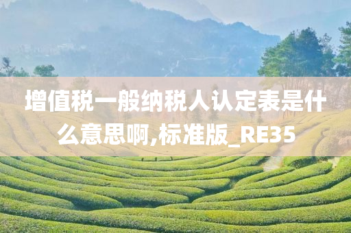 增值税一般纳税人认定表是什么意思啊,标准版_RE35