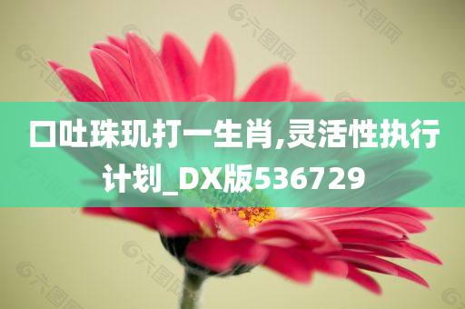 口吐珠玑打一生肖,灵活性执行计划_DX版536729