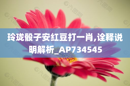 玲珑骰子安红豆打一肖,诠释说明解析_AP734545