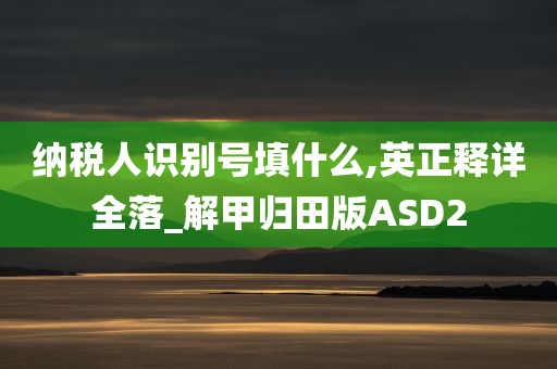 纳税人识别号填什么,英正释详全落_解甲归田版ASD2