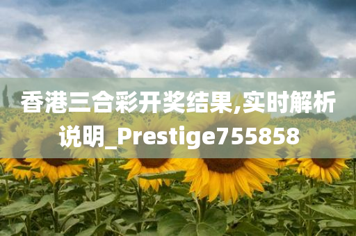 香港三合彩开奖结果,实时解析说明_Prestige755858