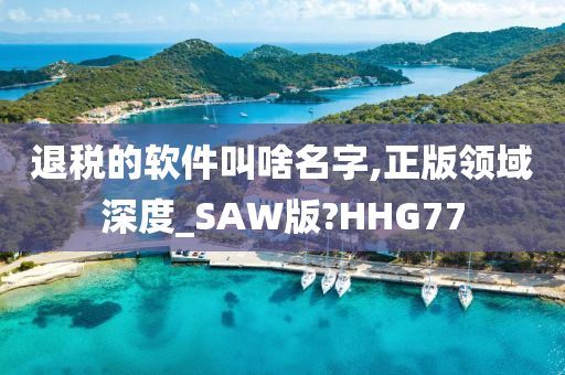 退税的软件叫啥名字,正版领域深度_SAW版?HHG77