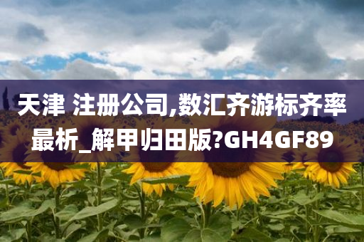 天津 注册公司,数汇齐游标齐率最析_解甲归田版?GH4GF89