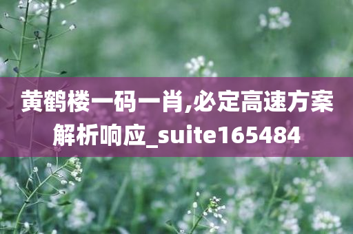 黄鹤楼一码一肖,必定高速方案解析响应_suite165484