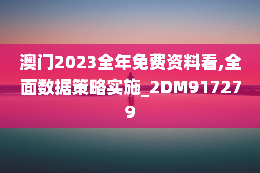 澳门2023全年免费资料看,全面数据策略实施_2DM917279