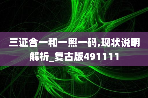 三证合一和一照一码,现状说明解析_复古版491111