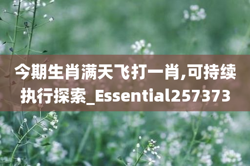 今期生肖满天飞打一肖,可持续执行探索_Essential257373