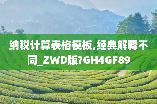 纳税计算表格模板,经典解释不同_ZWD版?GH4GF89