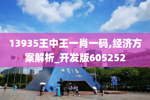 13935王中王一肖一码,经济方案解析_开发版605252