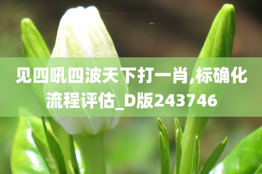 见四吼四波天下打一肖,标确化流程评估_D版243746