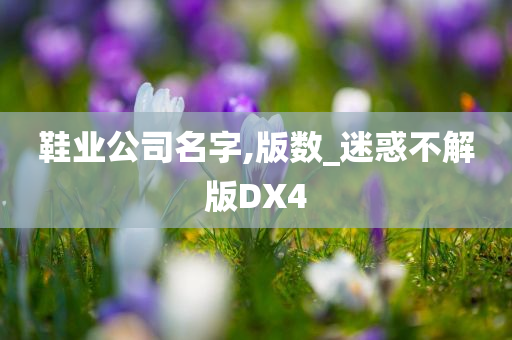 鞋业公司名字,版数_迷惑不解版DX4