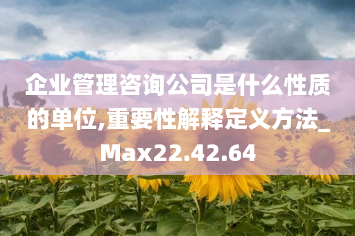 企业管理咨询公司是什么性质的单位,重要性解释定义方法_Max22.42.64