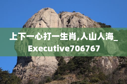 上下一心打一生肖,人山人海_Executive706767