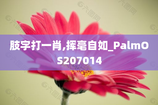 肢字打一肖,挥毫自如_PalmOS207014