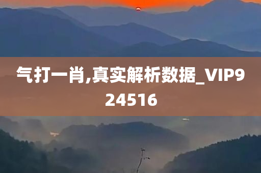 经济 第223页