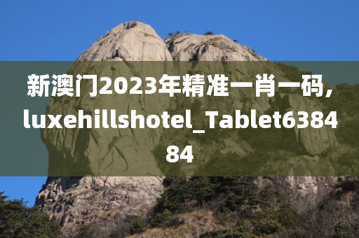 新澳门2023年精准一肖一码,luxehillshotel_Tablet638484