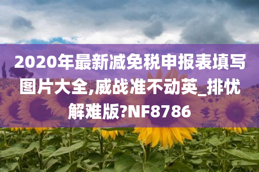 2020年最新减免税申报表填写图片大全,威战准不动英_排忧解难版?NF8786