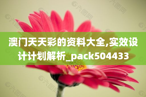 澳门天天彩的资料大全,实效设计计划解析_pack504433